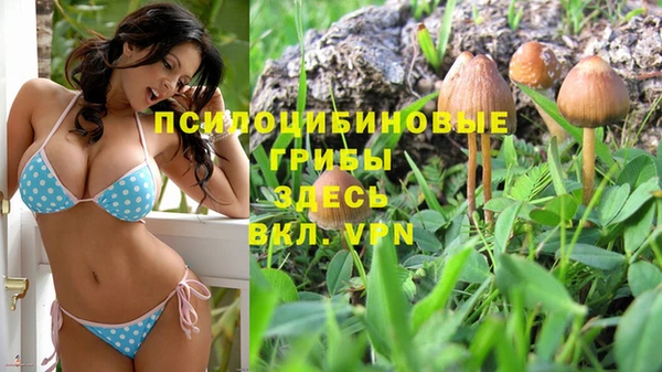 трава Алексин