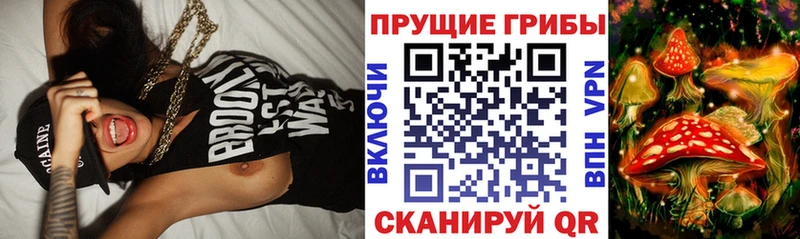 KRAKEN сайт  Петров Вал  Галлюциногенные грибы MAGIC MUSHROOMS 